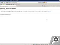 ReportServer-Website nach Korrektur